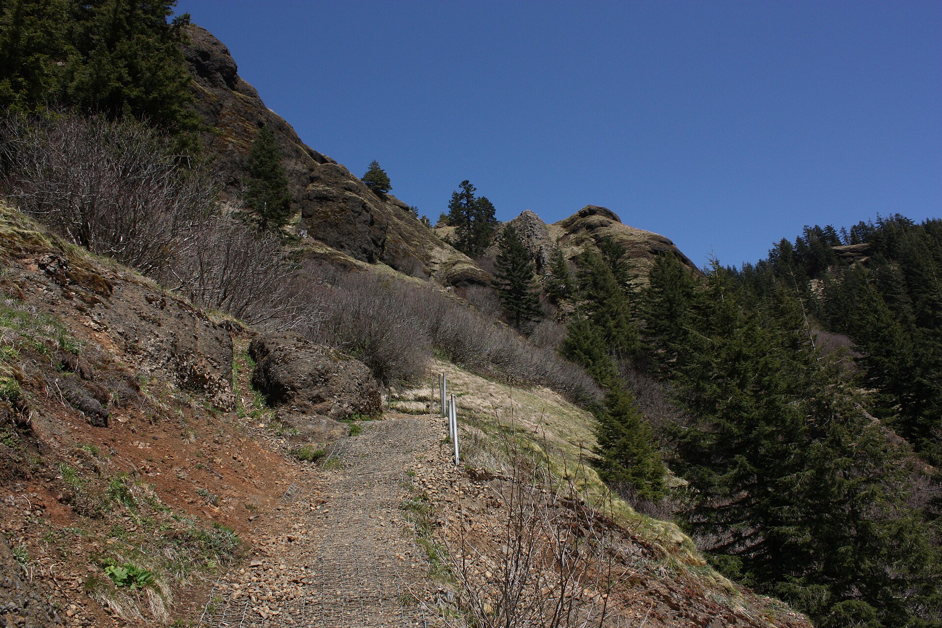 Steep Saddle Mountain Trail crossing a rocky slope in northwest Oregon