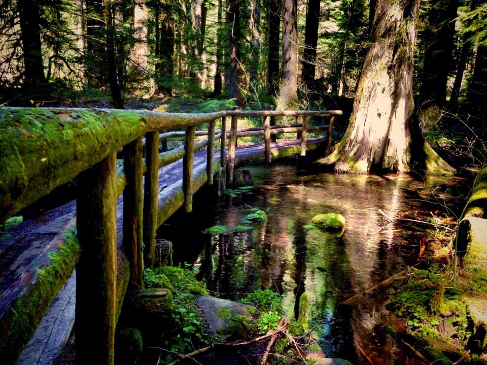 Tamolich Blue Pool, Oregon, $3.4 million, Opinion, Construction, new parking lot, new trail, not needed, leave it wild
