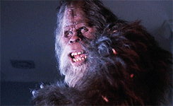 bigfoot