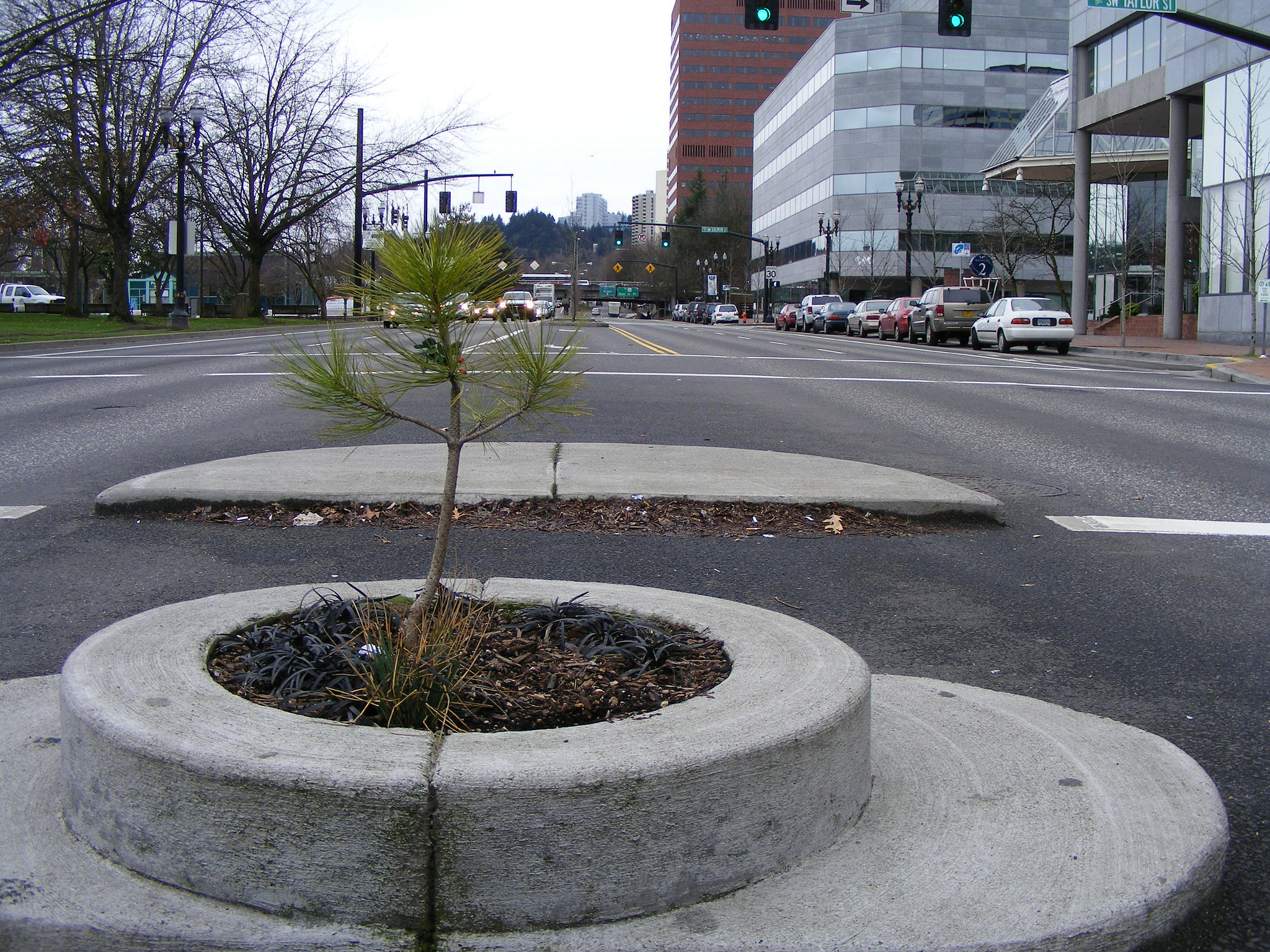 Dan Reed / Mill Ends Park