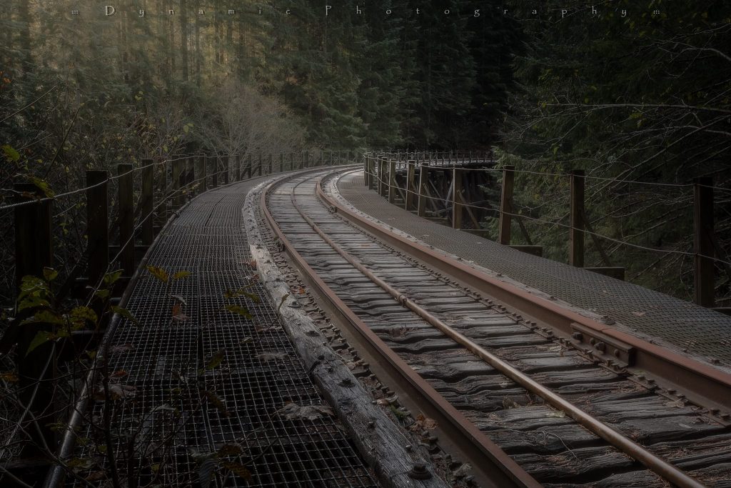 Salmonberry Trail