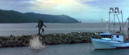 The climactic jump sequence in Free Willy