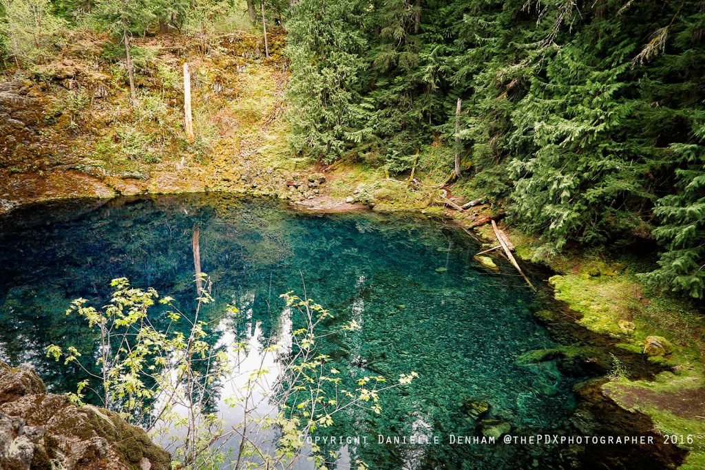 McKenzie River National Recreation Trail in Oregon