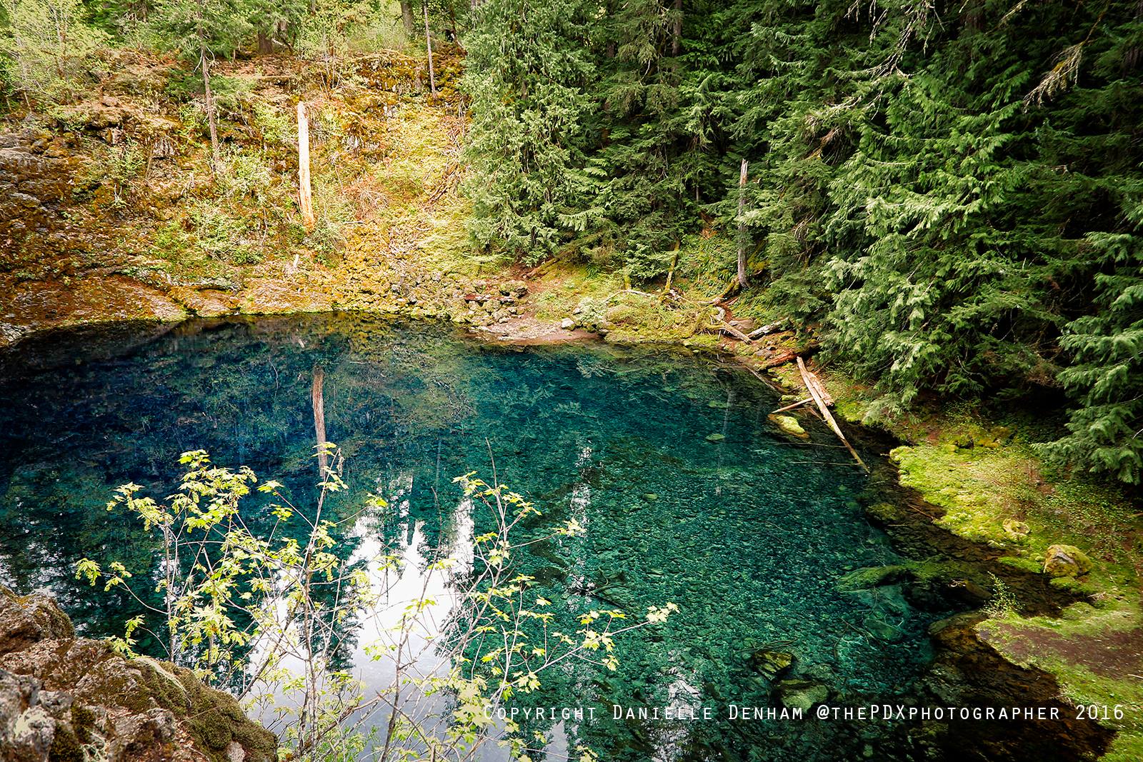 McKenzie River Trail Guide: Hiking, Biking & Camping