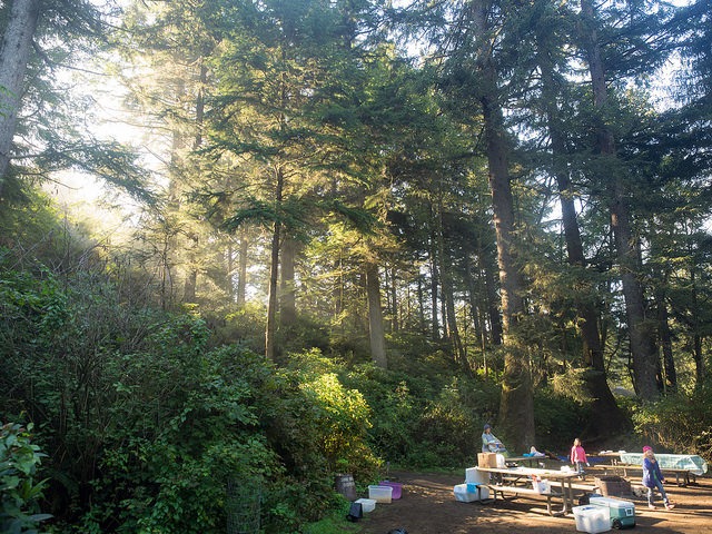 oregon coast campgrounds