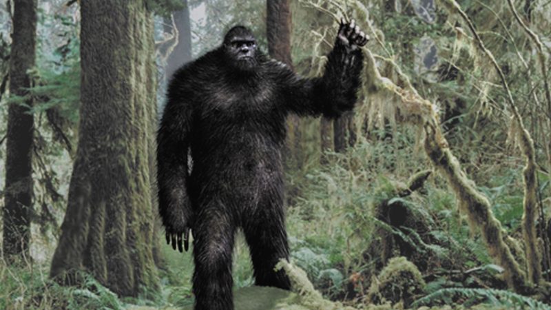 bigfoot