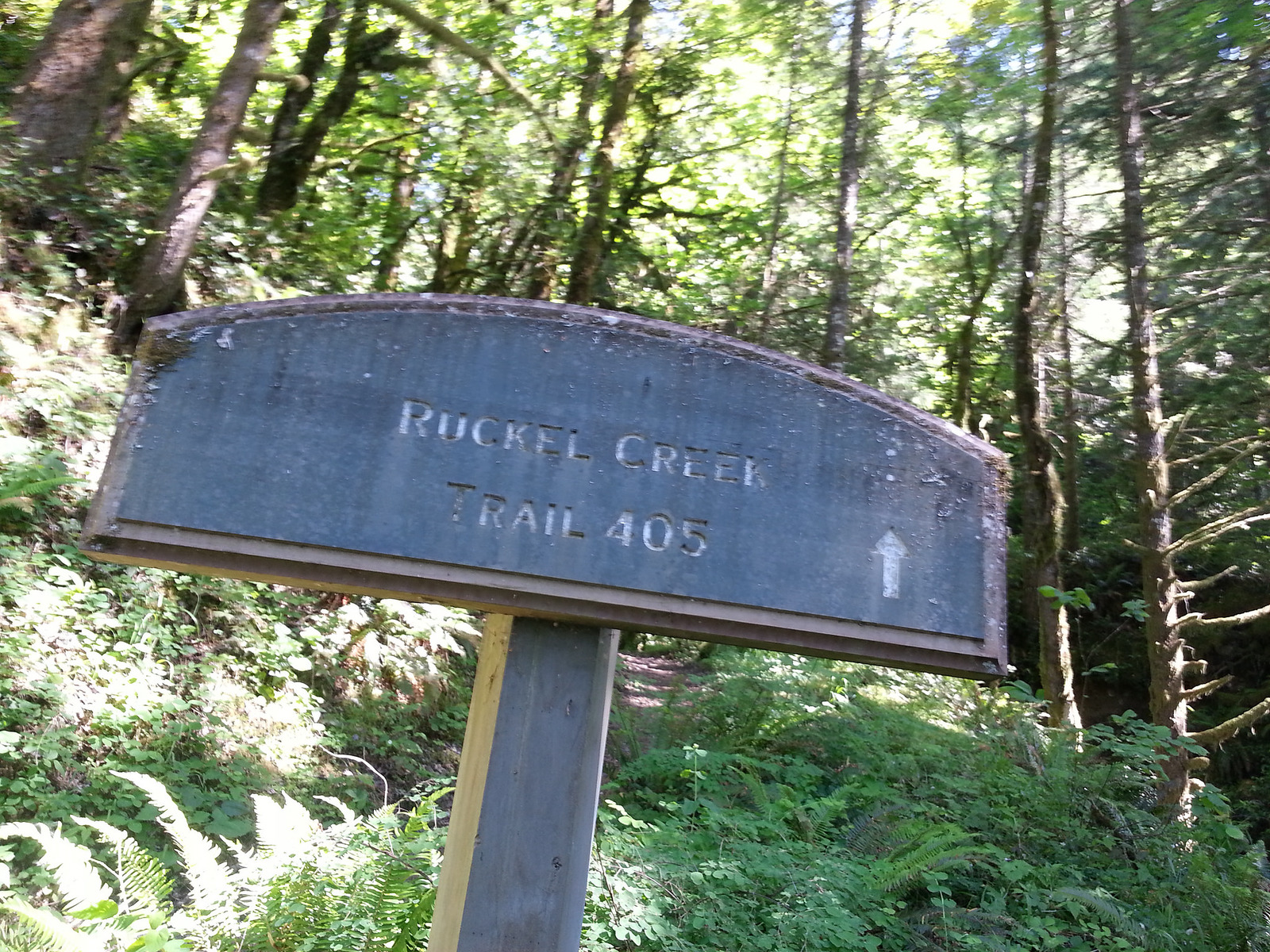 ruckle ridge ruckle creek ridge hike