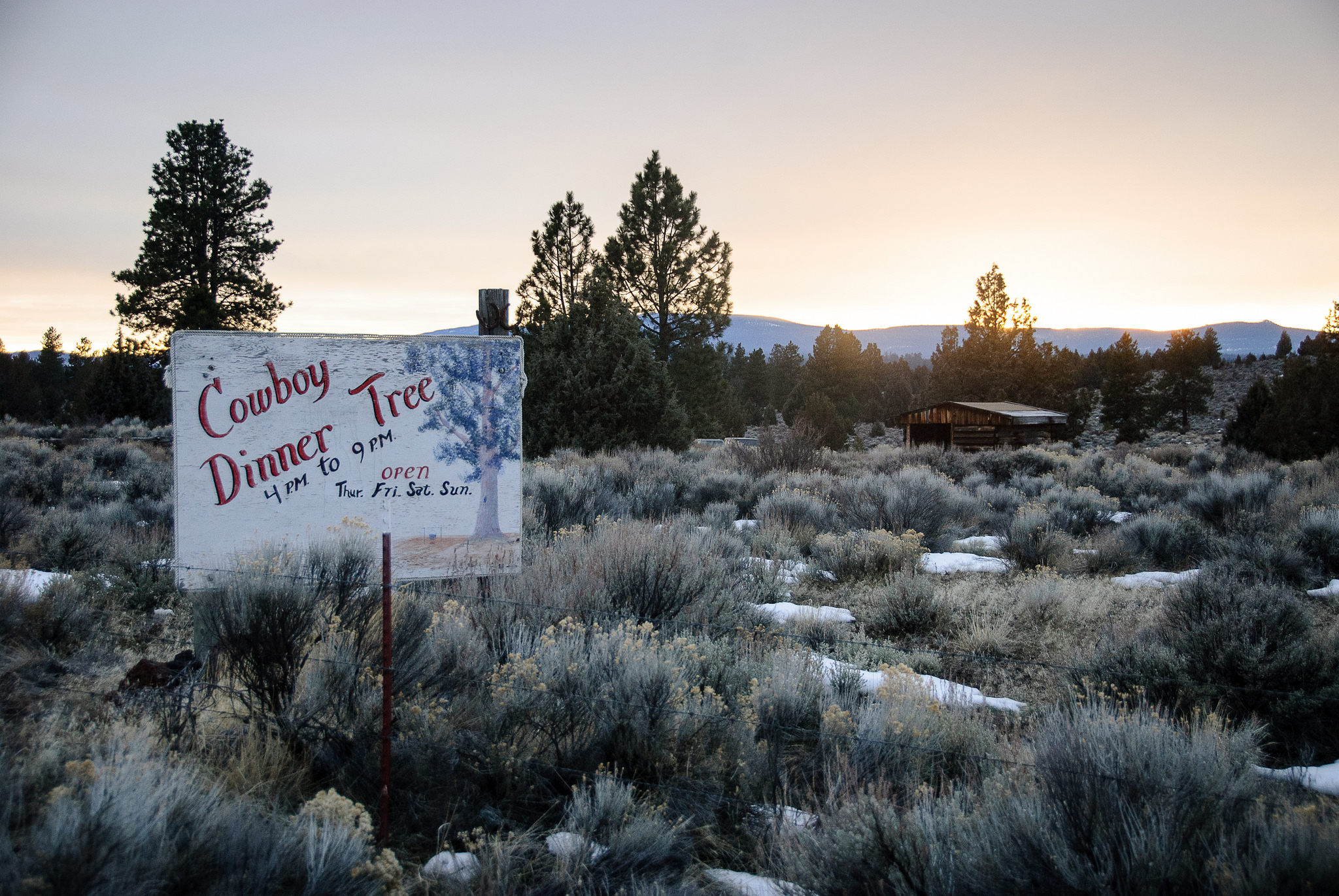 cowboy_dinner_tree_2