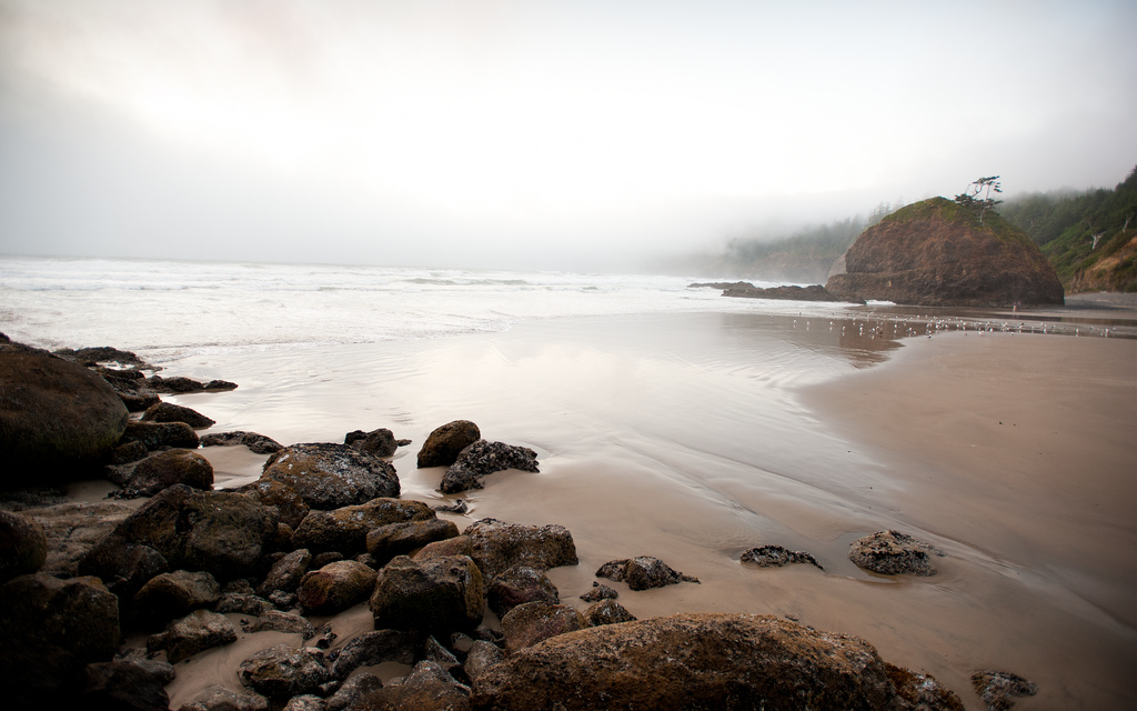 6278315283_5547a7723b_b short beach oregon