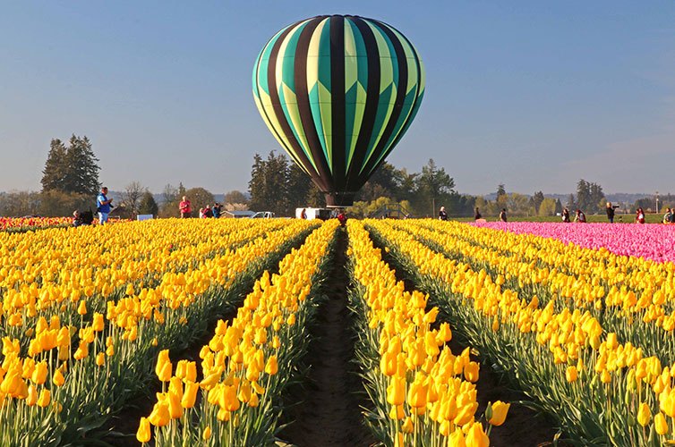 homeslides_balloon wooden shoe tulip festival