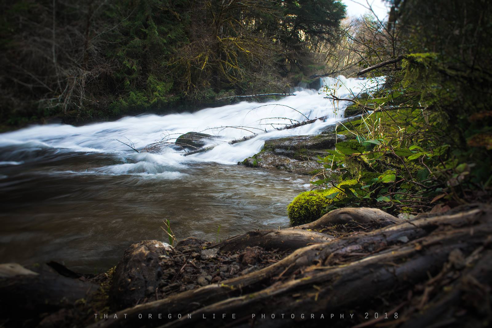 best camping in oregon