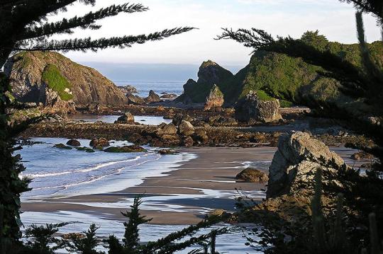 harris beach state park