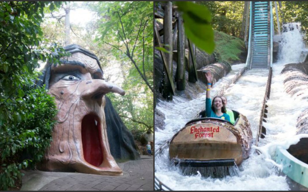 enchanted forest enchanted forest