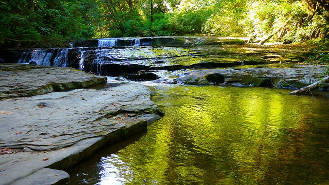 sweet_creek_falls sweet creek falls oregon