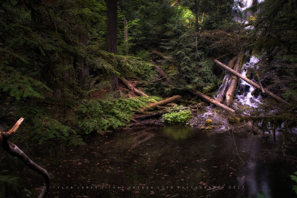 Upper Proxy Falls in Oregon