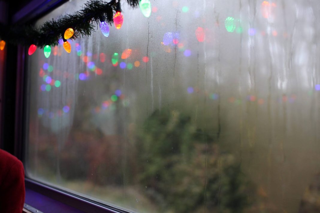 Christmas Train Portland Oregon 2021 Oregon Holiday Train Rides