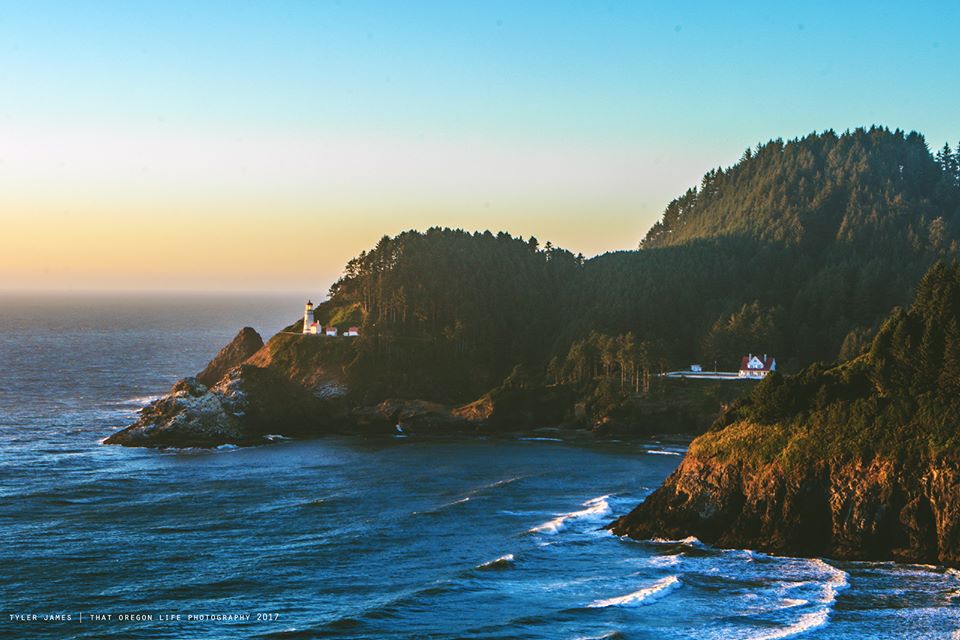 Heceta Head