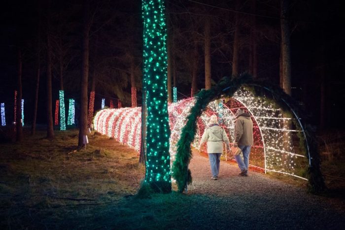 winter_walk