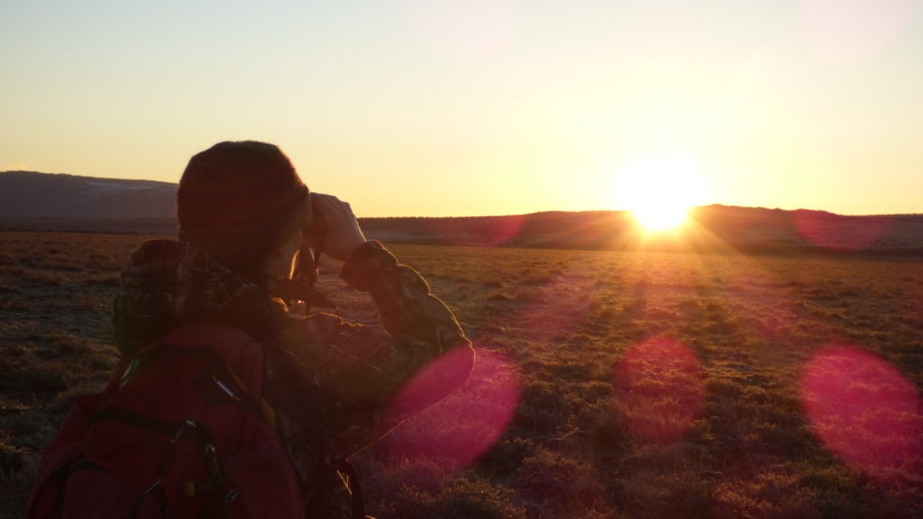 Department of Fish and Wildlife, BLM, Bureau of Land Management, New Hunting Proposal, IP28, Federal Government