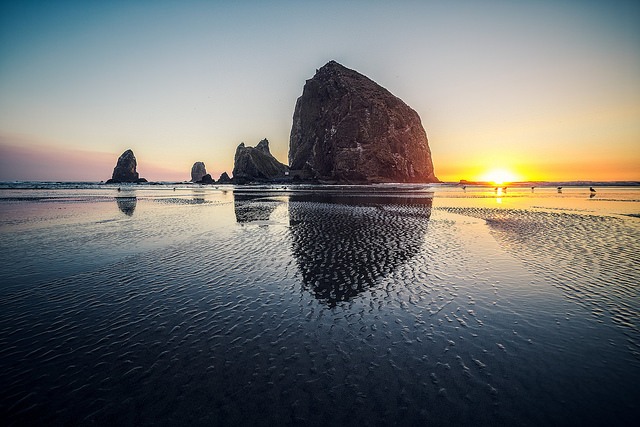 Face Rock State Scenic Viewpoint: Bandon Beach Guide