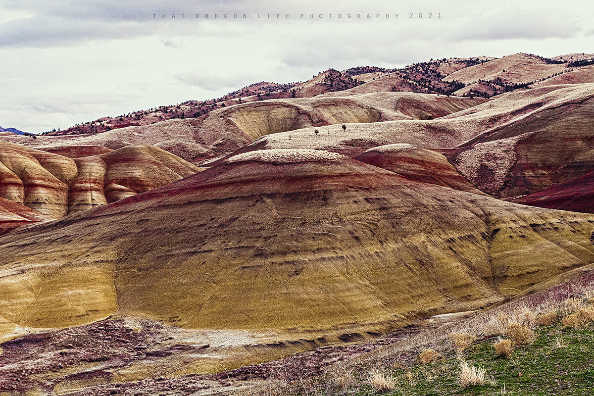 oregon painted hills 2 painted hills oregon