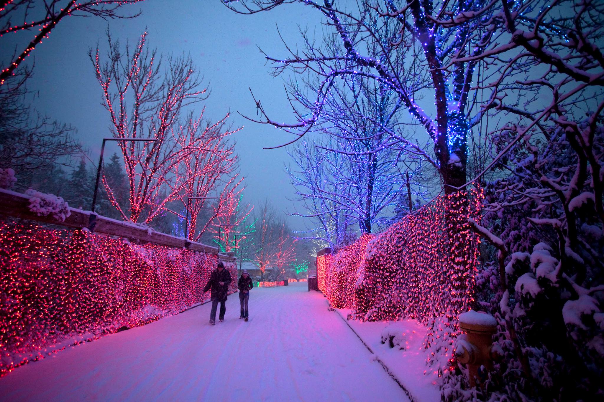 Brewlights Oregon Zoo
