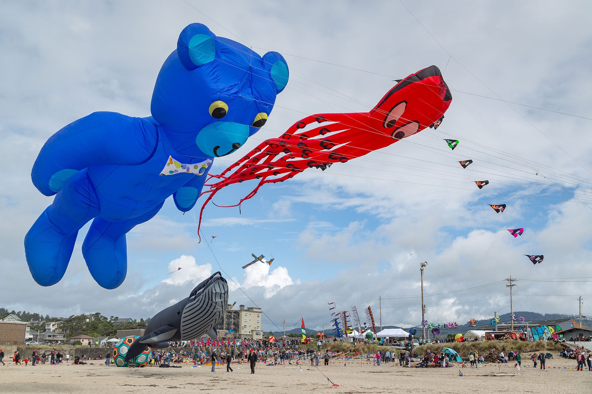 Thousands Will Flock to the Oregon Coast as Lincoln City’s Sky Explodes With Giant Kites This September
