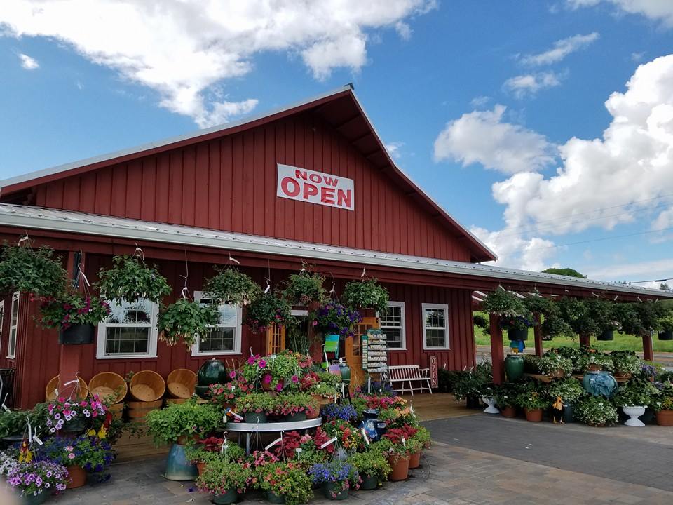 This Fall, Try These Mouthwatering Apple Cider Donuts in Oregon