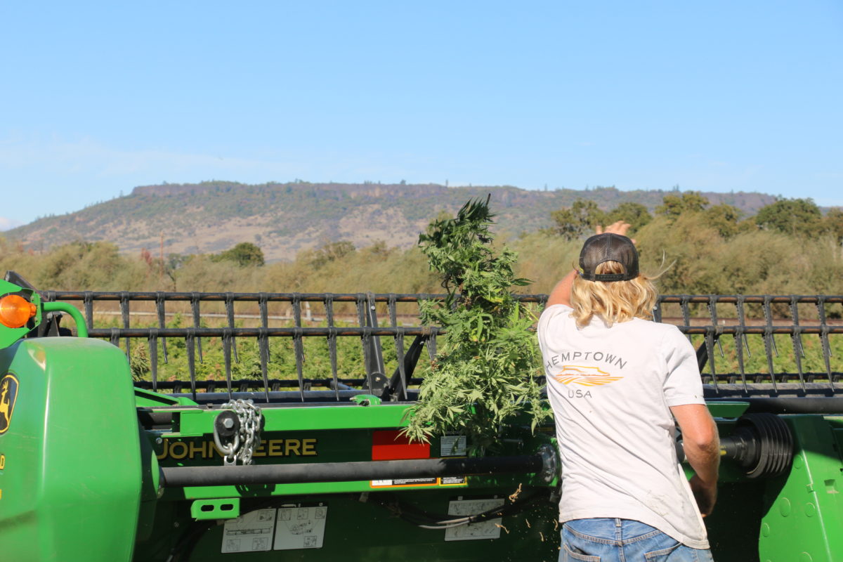 9121 hemp oregon usa