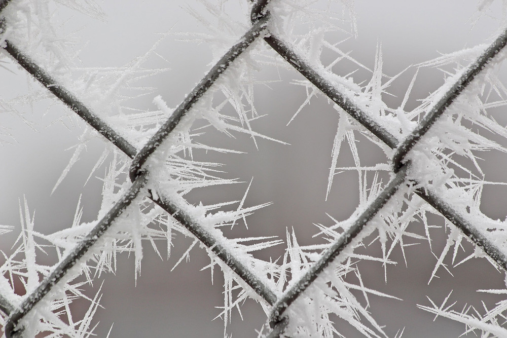 Hoar Frost Redmond Lauren Sobkoviak Flickr