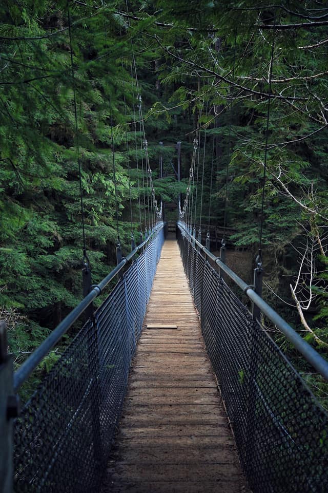 Drift Creek Falls
