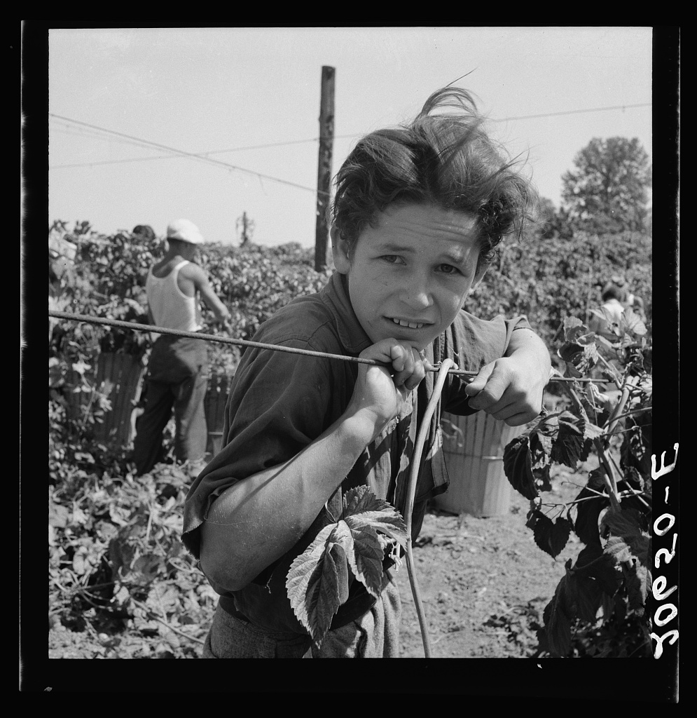 Dorothea Lange, Great Depression, Vintage Oregon Photos, Historic Images, Farm Workers, 1930s, Real Photos, Old Slides, Eastern Oregon, Dust Bowl, Willamette Valley, Time Capsule, Independence Oregon