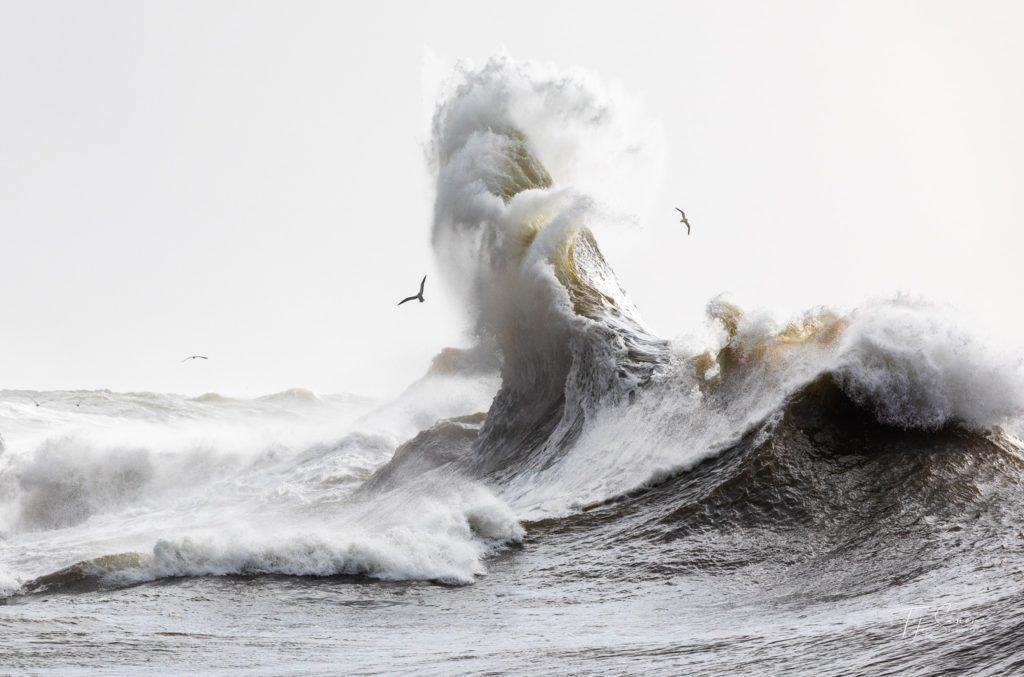 King tides