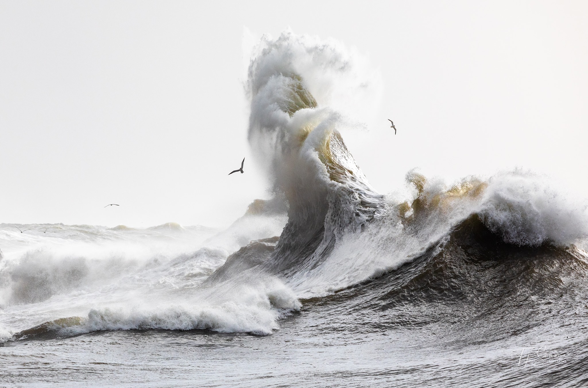 Wind-driven King Tide wave cresting on the Oregon Coast