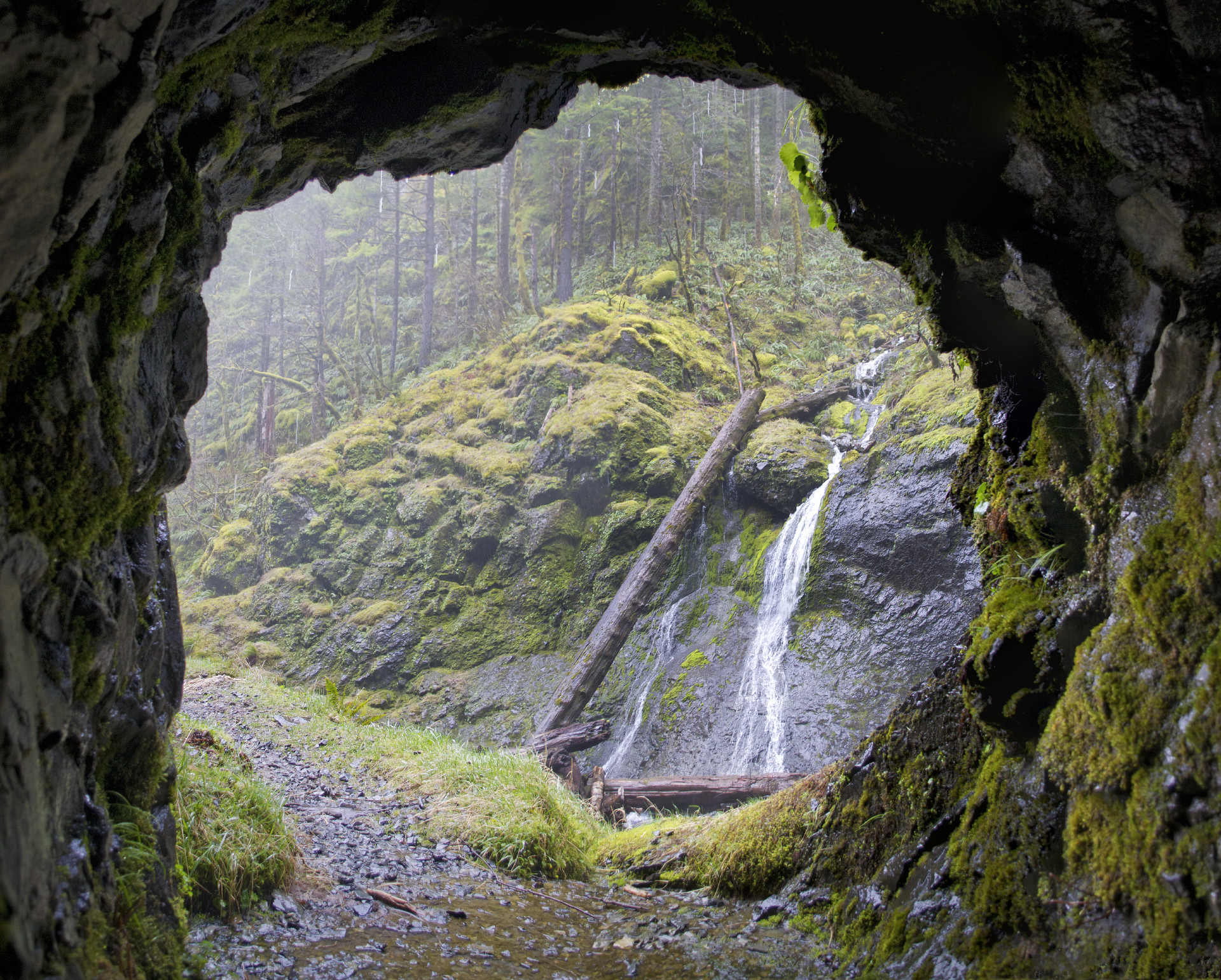 Henline Falls Gold Mine Opal Creek Wilderness by Thomas Shahan via Flickr CC2 Old Gold Mines Oregon