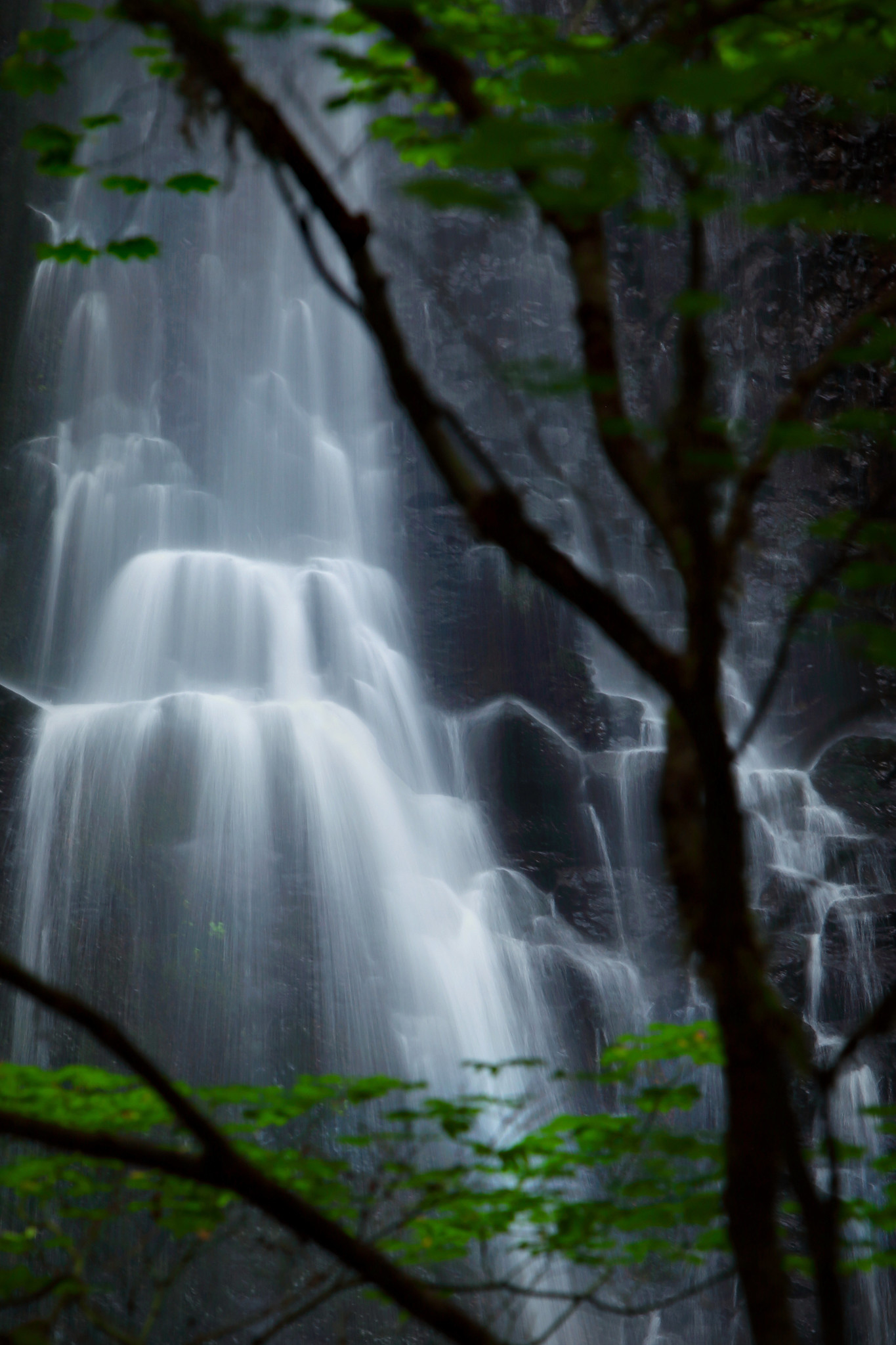 Double Falls at Silver Falls State Park