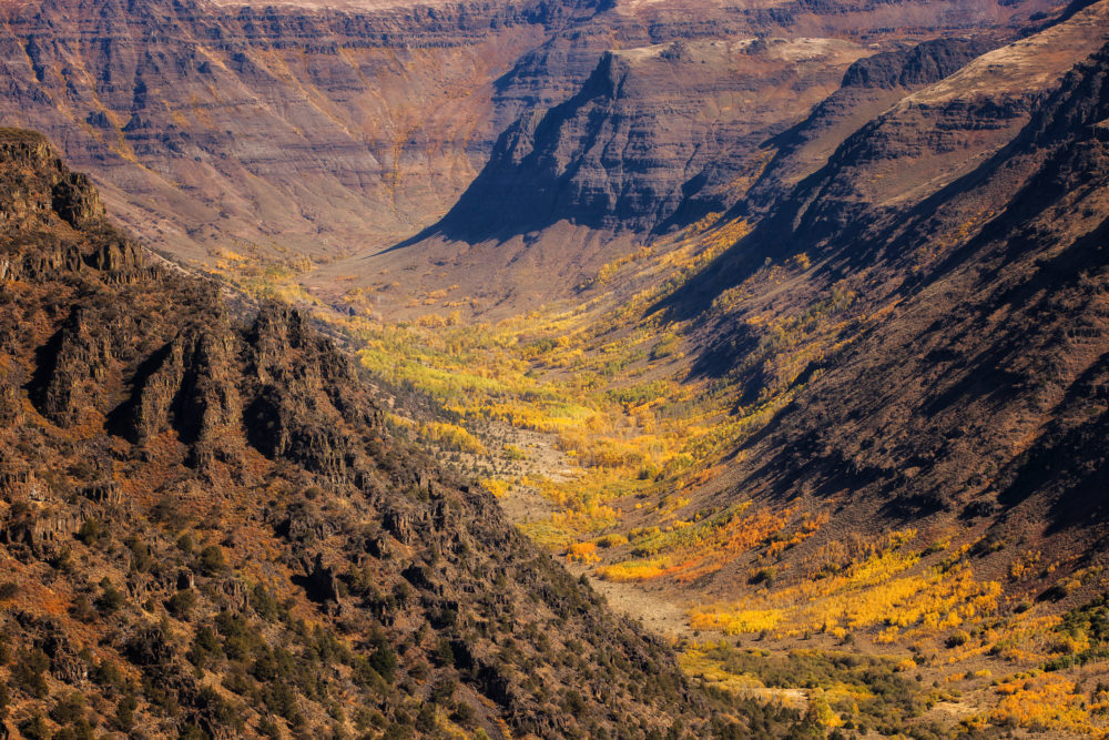 big indian gorge, SE oregon