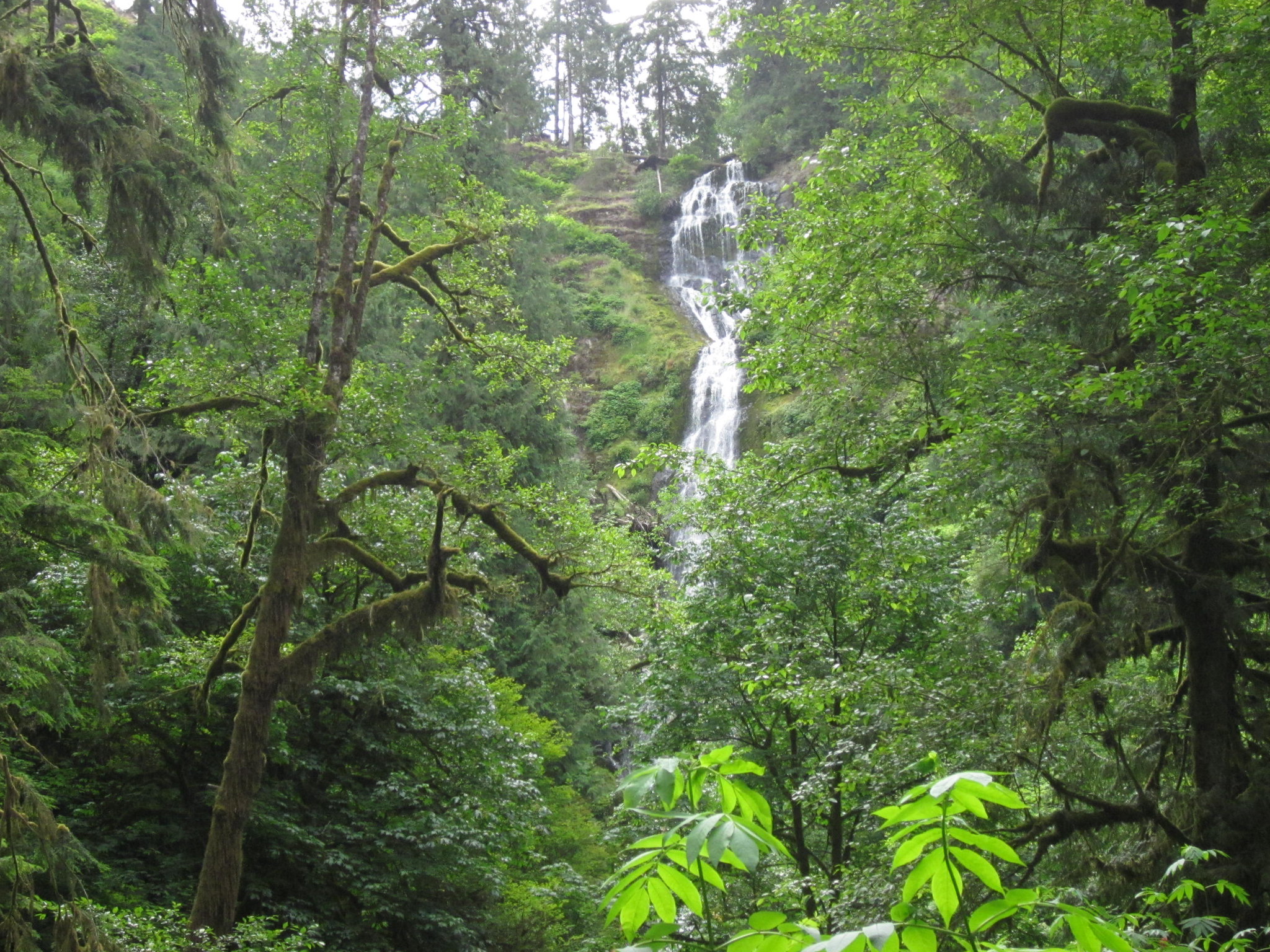 Munson Creek Falls. Photo by Doug Kerr via Flickr CC2. oregon coast waterfall munson creek falls