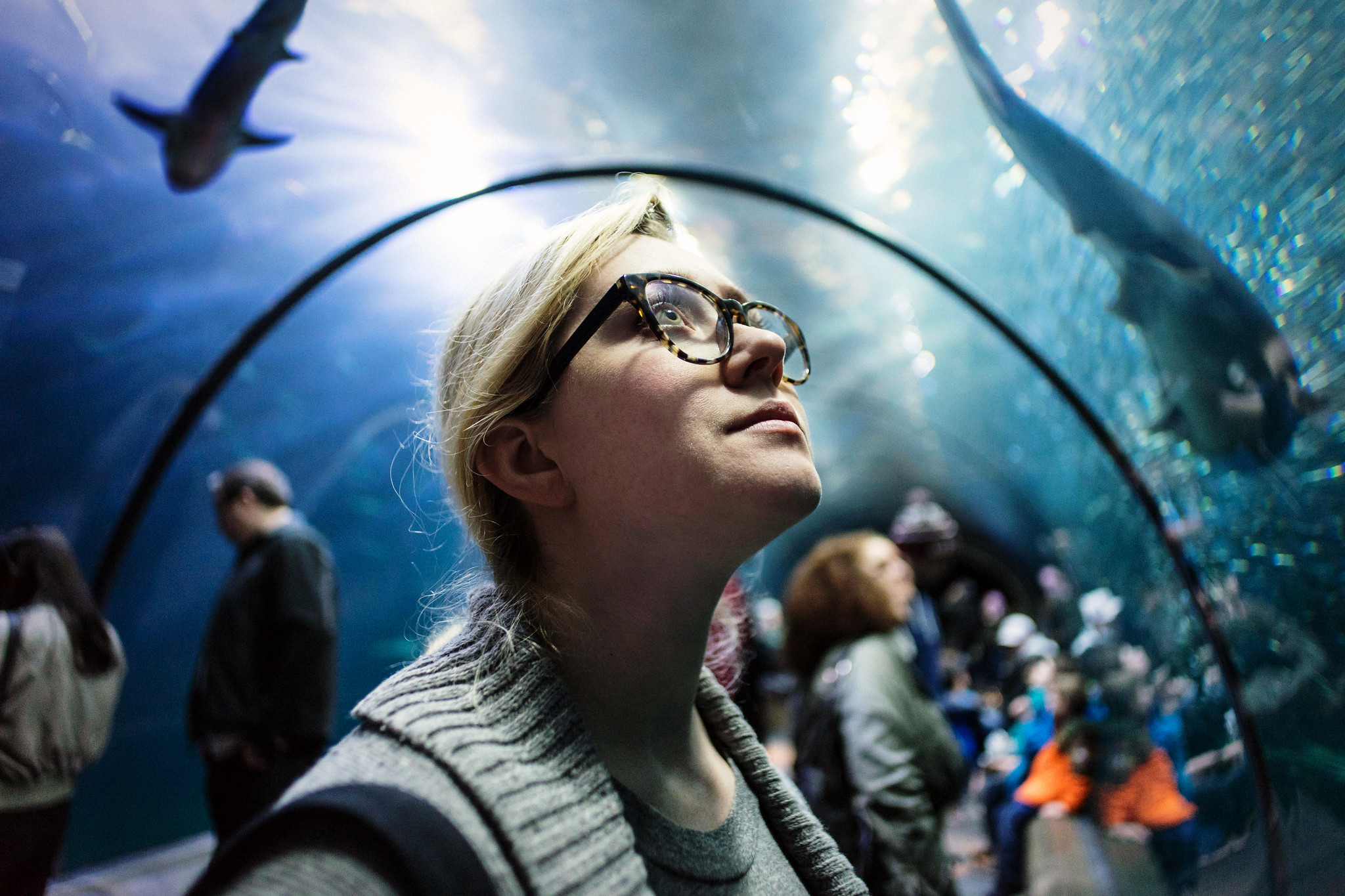 Oregon Coast Aquarium. Photo by Jim Fischer via Flickr CC2.