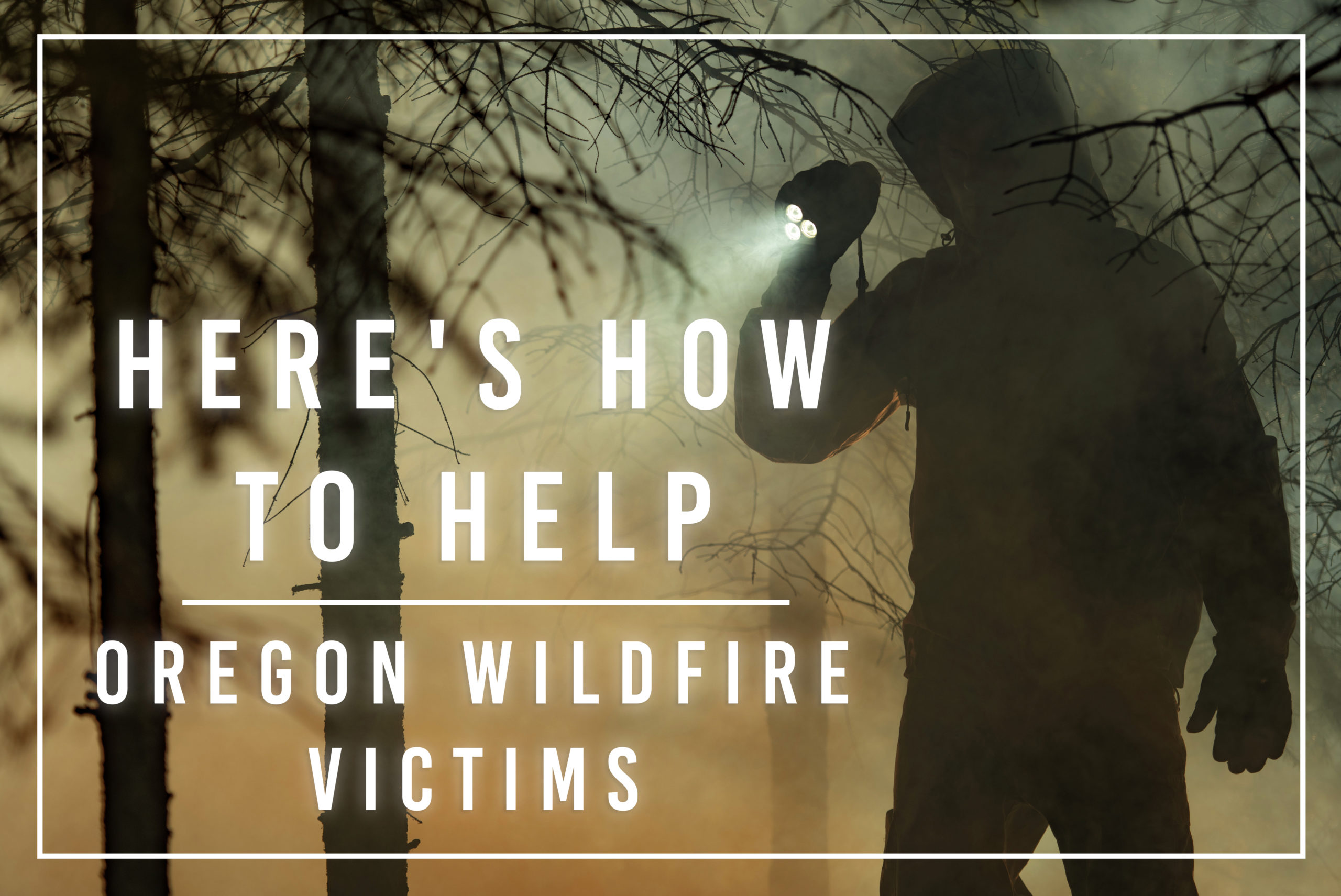 Heres How To Help Oregon Wildfire Victims ENV