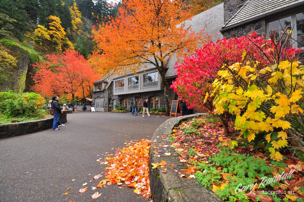 21414968_10156243069804119_5461691155941977330_o Multnomah Falls Lodge