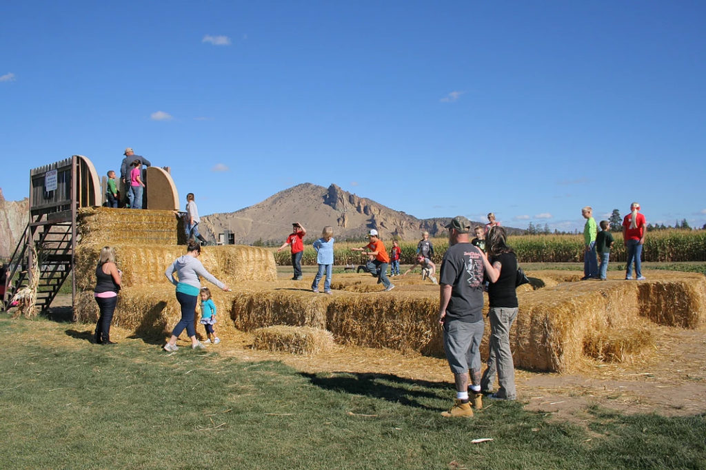 Smith Rock Ranch, Terrebonne Oregon, Family Fun, Central Oregon, Bend, Redmond, Things To Do, Pumpkin Patch, Hay Rides, Pumpkin Cannon, Giant Corn Maze, East of the Cascades, Dog Friendly Adventures, Good Food, Mini Golf, Best of Oregon, Fall Activities, Halloween