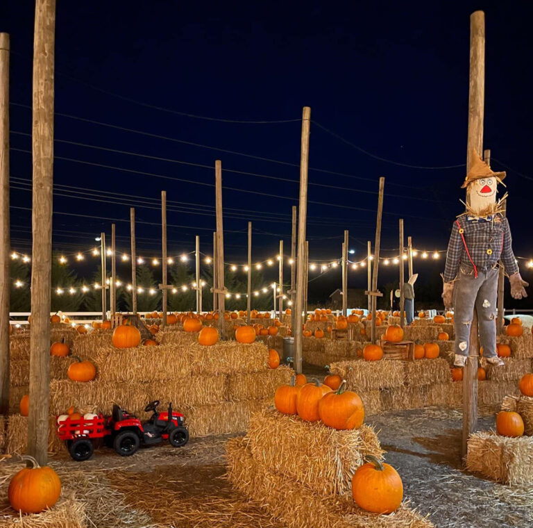 Pumpkins, hay, a scarecrow and string lights at an Oregon pumpkin patch in Wilsonville.