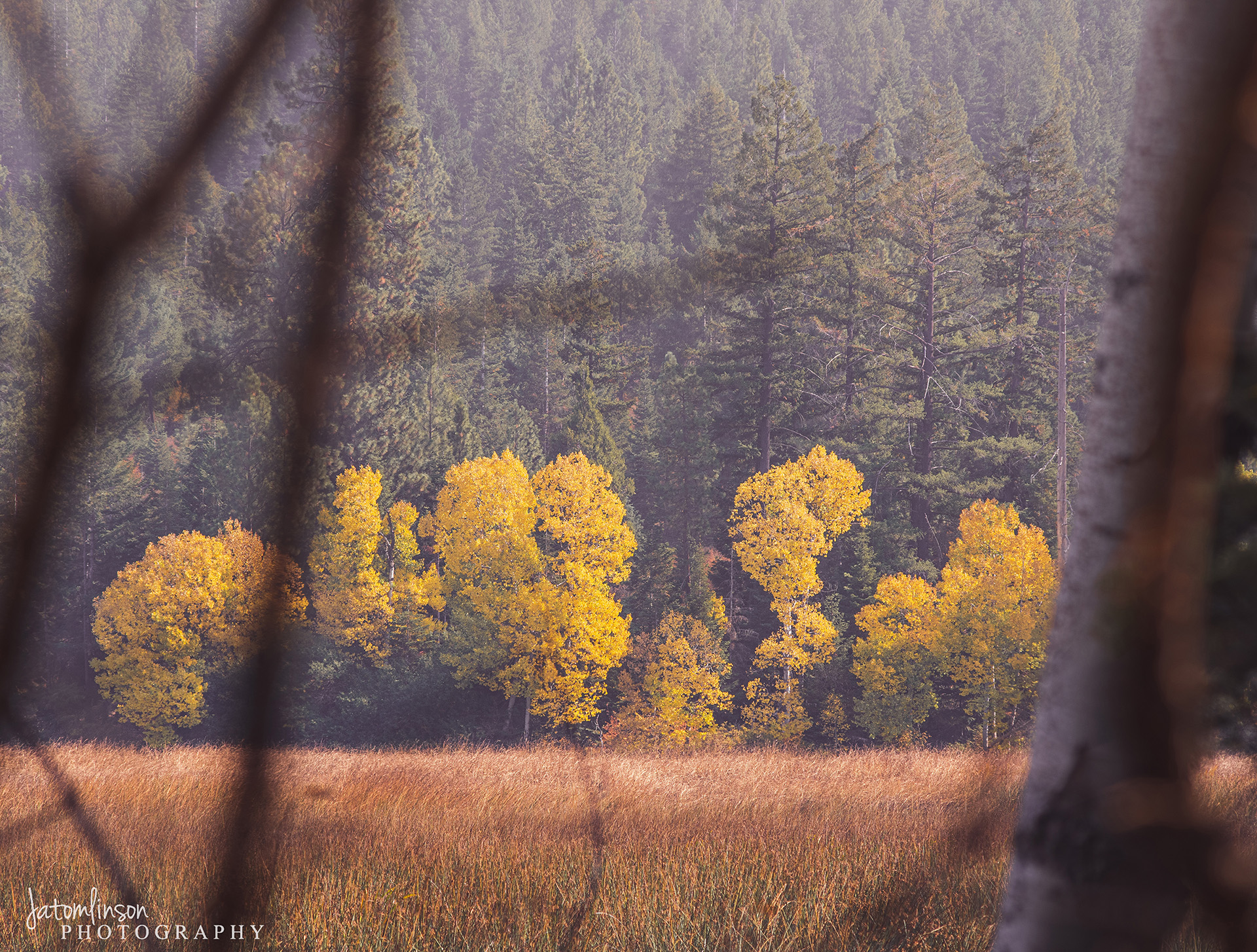 Fall colors in Oregon. Photo by JATomlinson Photography. spence mountain
