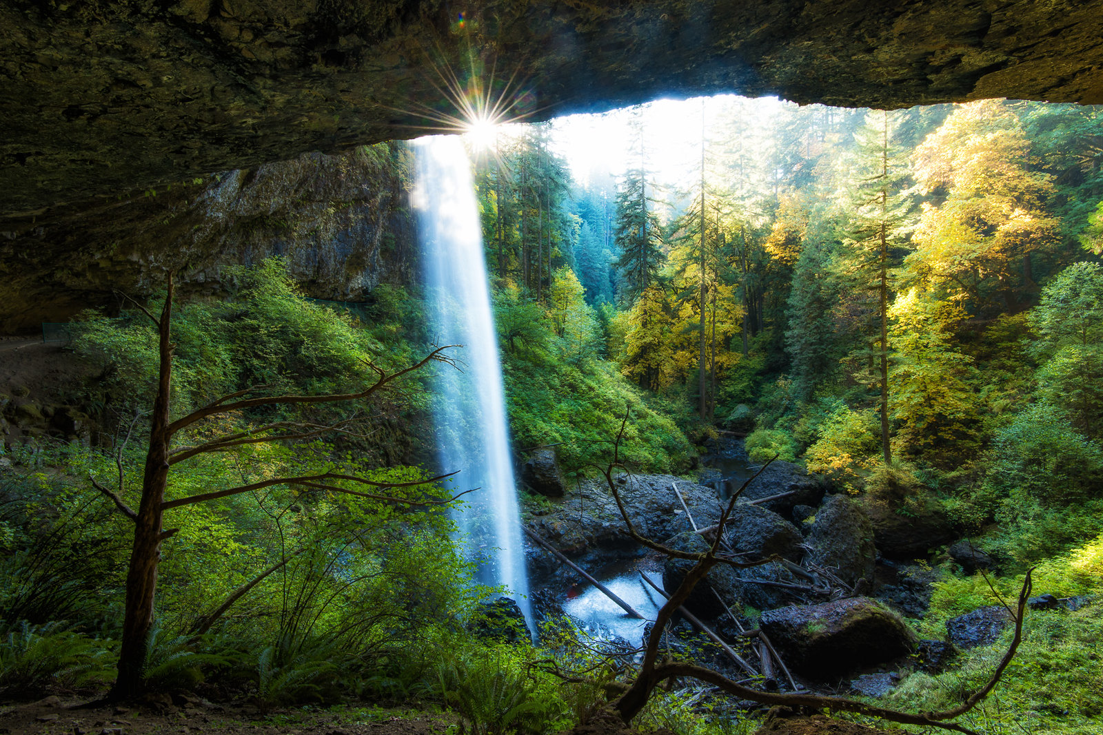 North Falls At Silver Falls State Park. Photo by Bill Young via Flickr CC2.