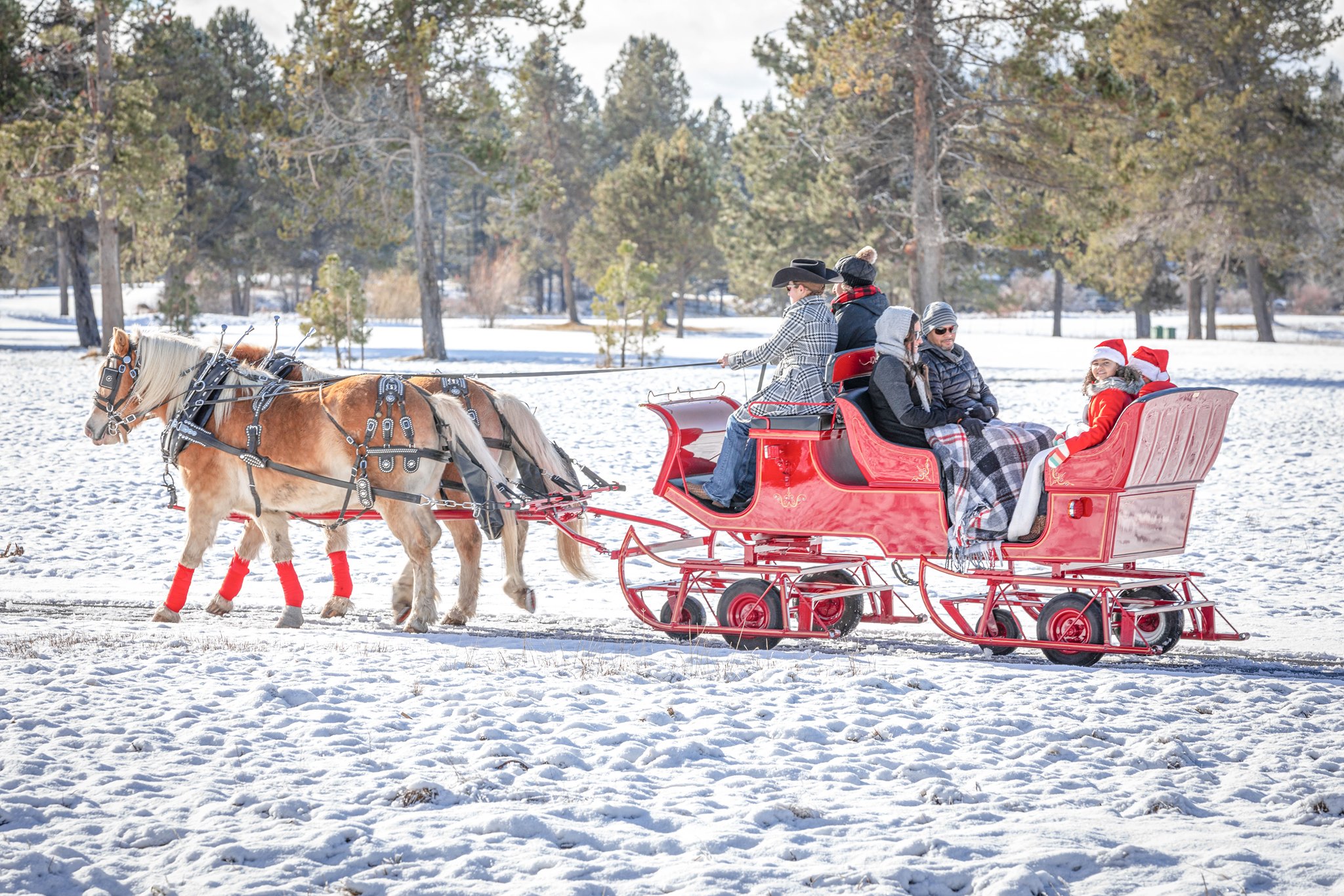 Take a Real Horse-Drawn Sleigh Ride Though Oregon’s Winter Wonderland