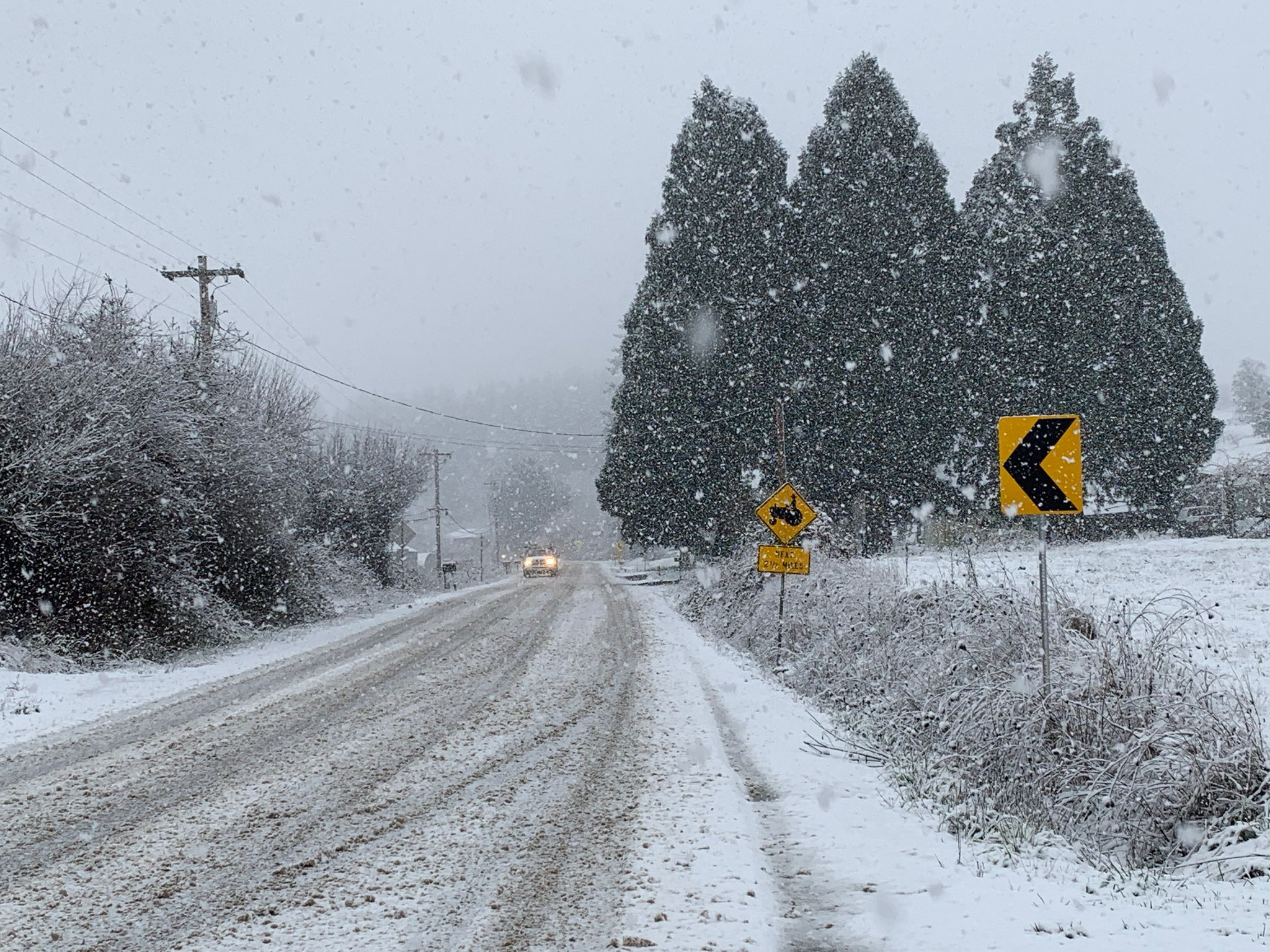 snow_oregon oregon, snow forecast, mountains, willamette valley, 2024