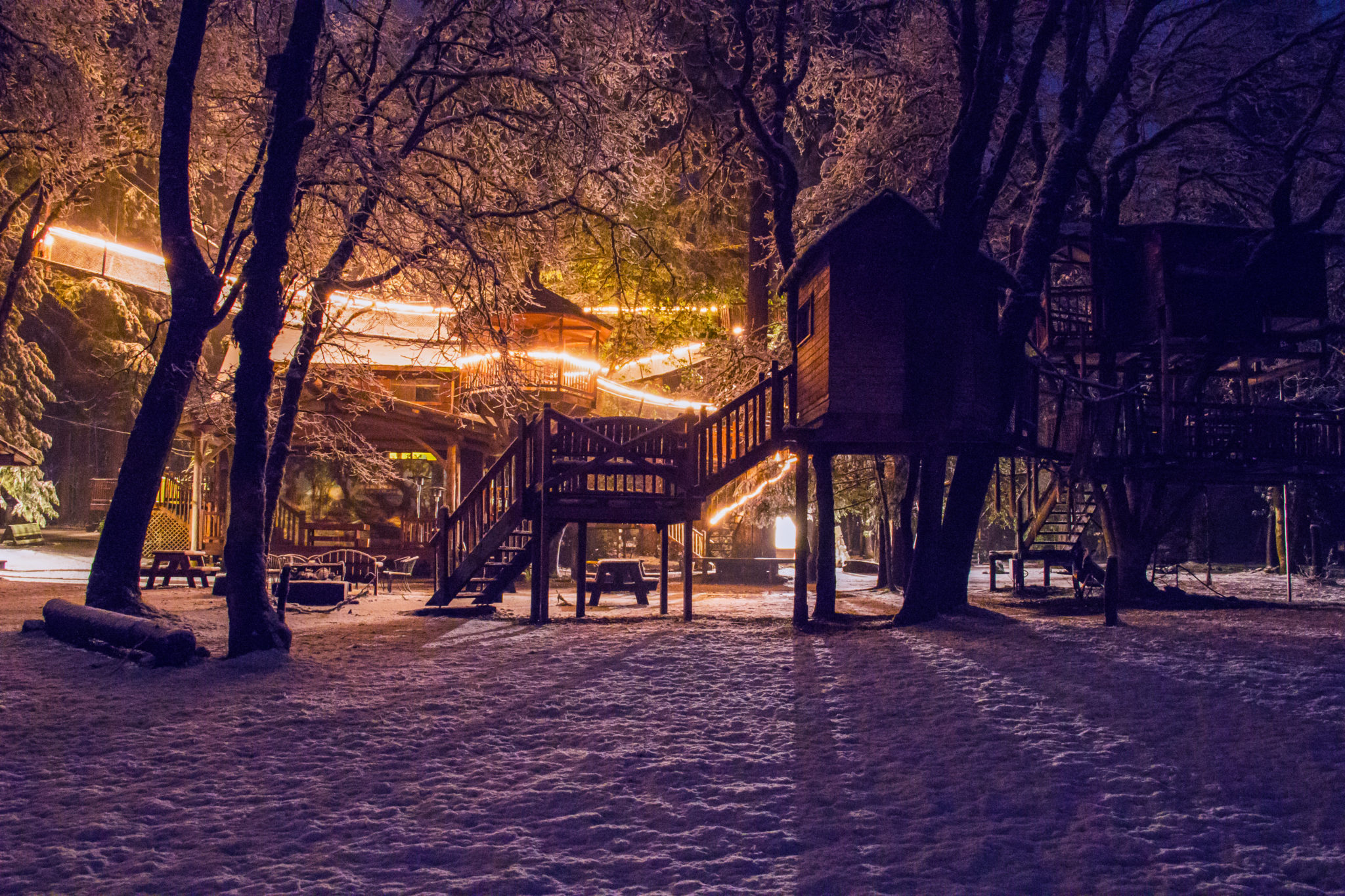 Stay A Night At Out’n’About Treesort In Oregon