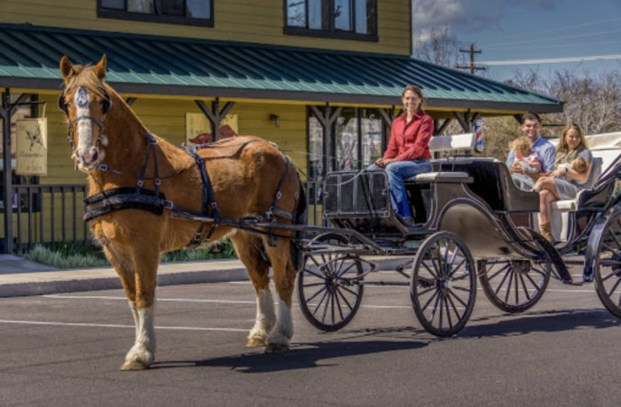 carriage_ride_sisters_oregon