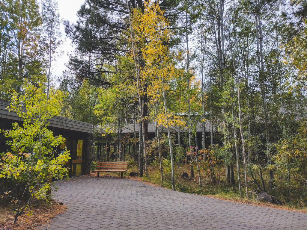 The outside of the High Desert Museum in fall with quaking aspen that are just starting to turn from green to yellow. There is a wooden bench outside the door.